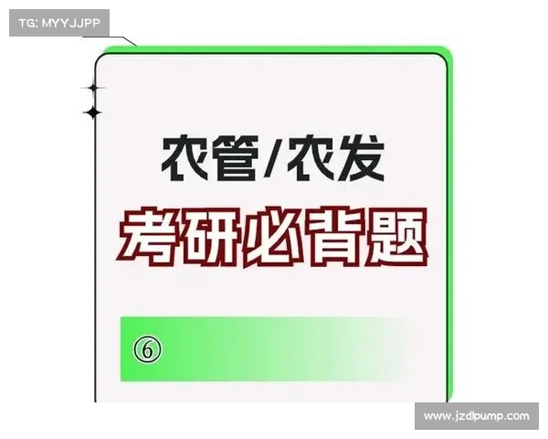 提升龙跃武器蓄能值效果的五大策略解析与应用技巧
