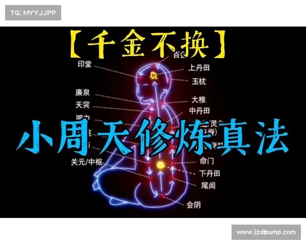 如何顺利进入朱雀天境掌握技巧与修炼方法全解析