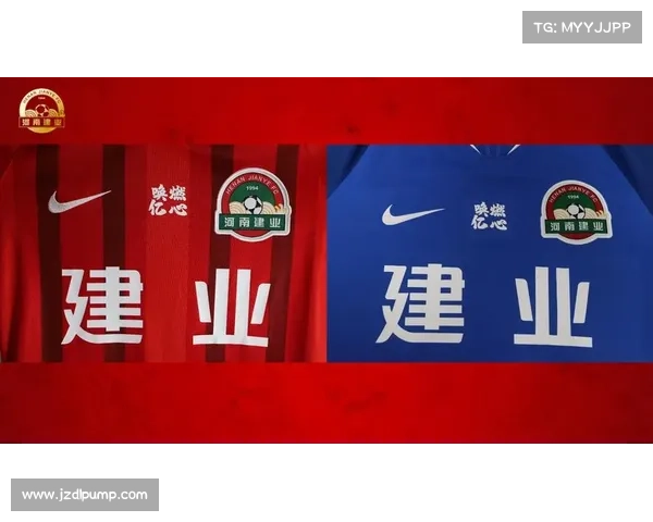 从社会组织属性与市场化运作角度探析建业俱乐部的机构性质定位