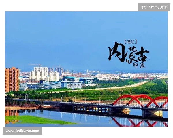 全面揭示加的夫城历年主要参赛联赛体系发展全景深度解读全貌探秘