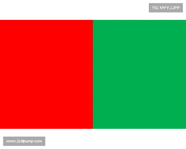 法甲冠军标志设计元素的创新融合与视觉语言解构分析