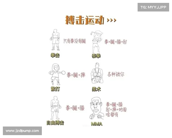 拳击比赛精彩内容全面解析及赛制规则深度剖析